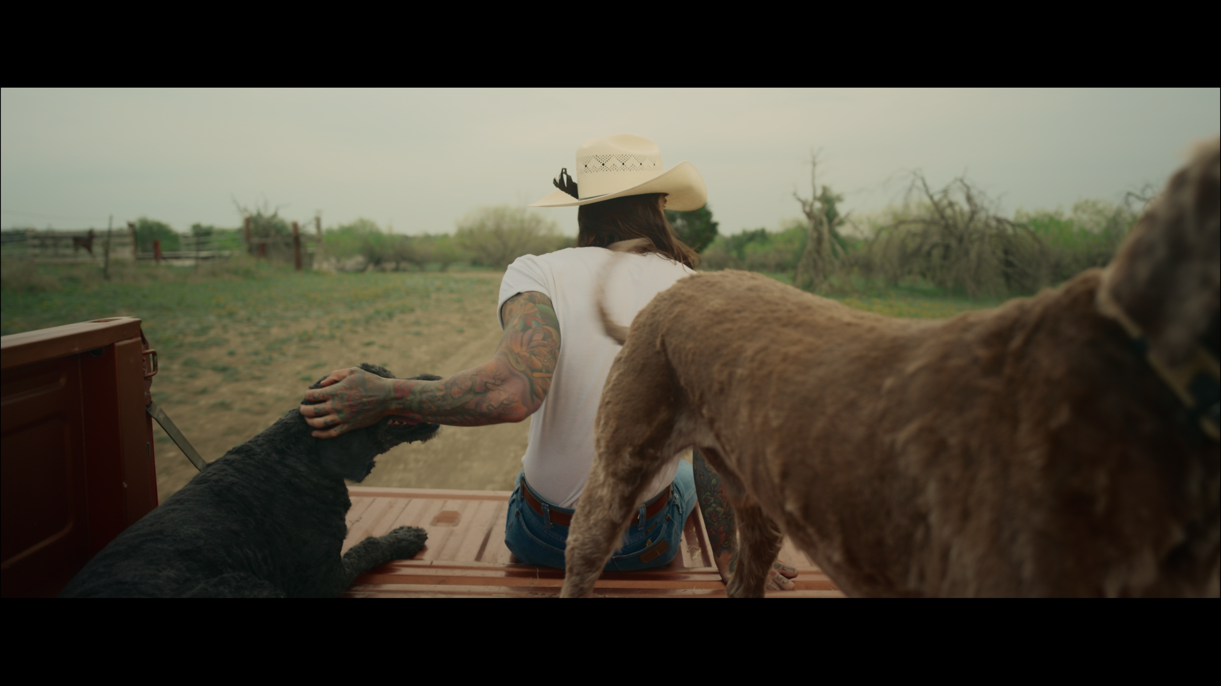 DJI Ronin 4D D-Log Film LUTs — CAM MACKEY